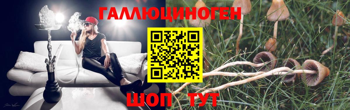 Галлюциногенные грибы MAGIC MUSHROOMS  Вход с VPN  Вышний Волочёк 